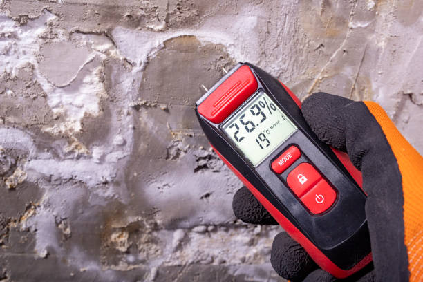 Mold Removal Process in Norwalk, CT